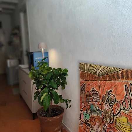 住宿加早餐酒店 安吉拉住宿加早餐旅馆 克卢索内